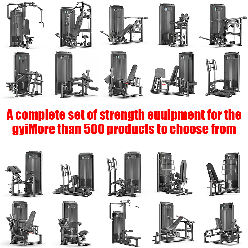 Strength Training Commercial F - Home Gym Hip Thrust Machine avaliação e preço