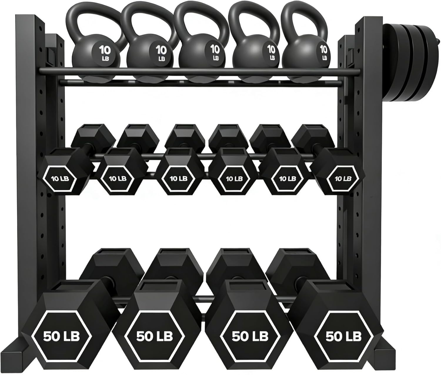 Home Gym Use, Steel Material,  - Home Gym Dumbbells avaliação e preço