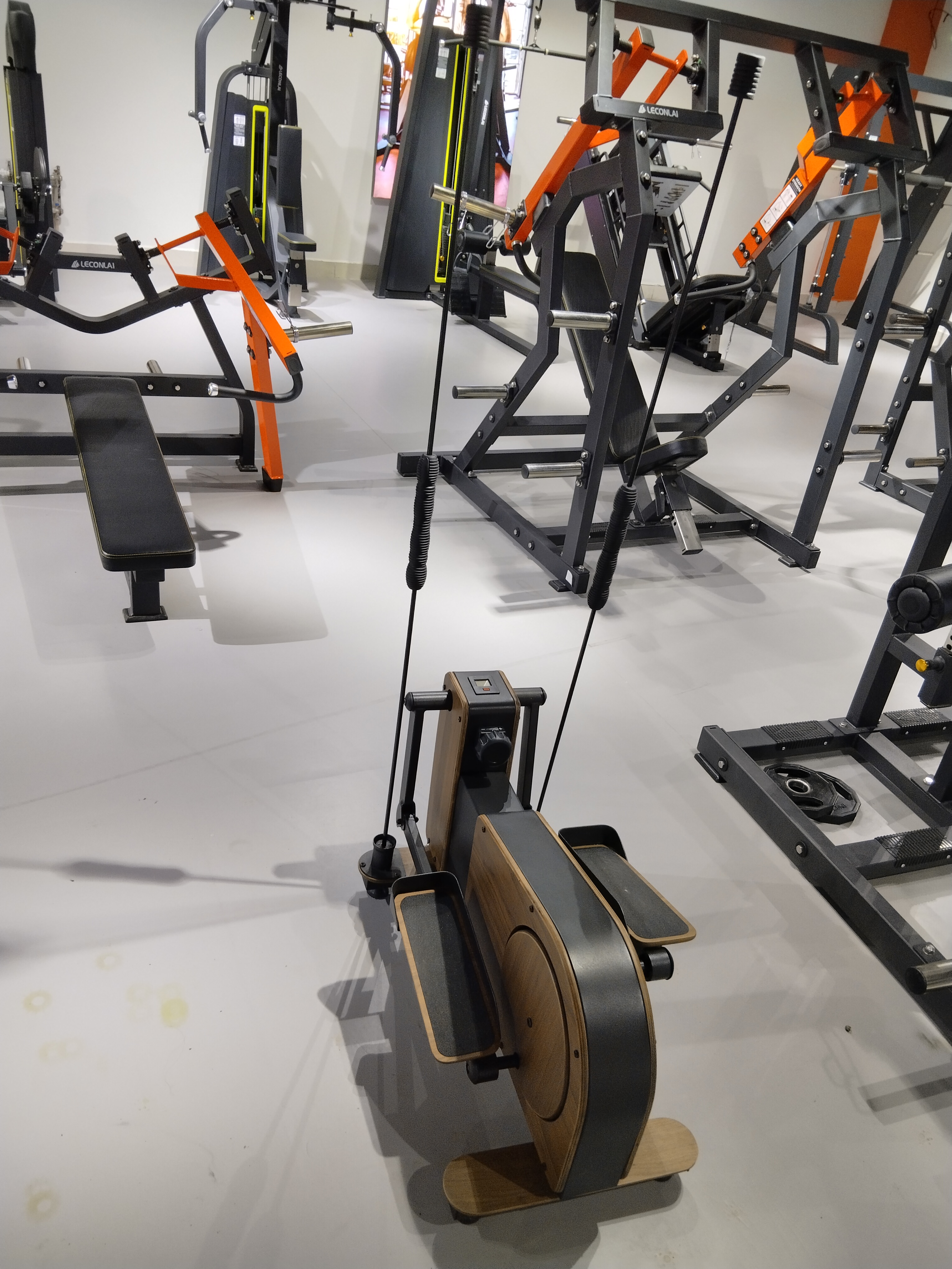 Low-Impact Magnetic Elliptical - Home Gym Resistance avaliação e preço