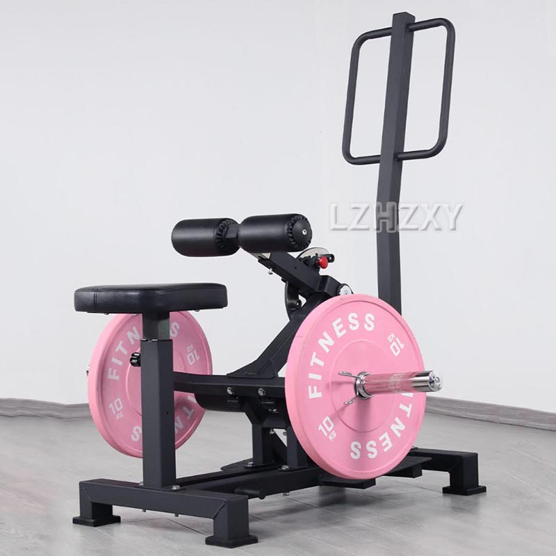 Hip trainer Squatting apparatu - Home Gym Ideas avaliação e preço