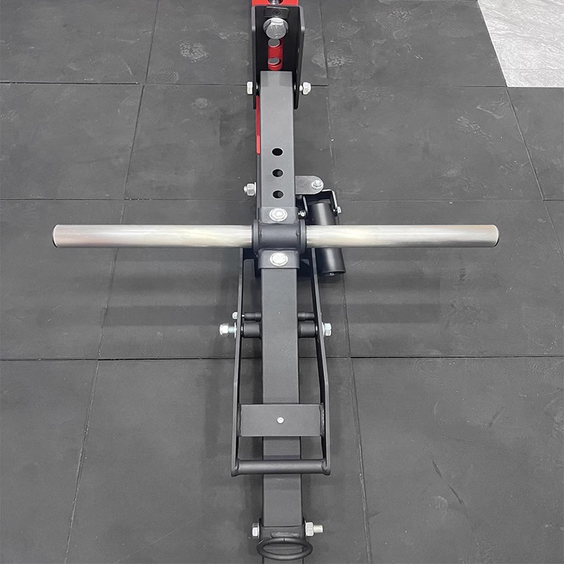 Multi-function Squat Buttock L - Home Gym Rowing Machine avaliação e preço