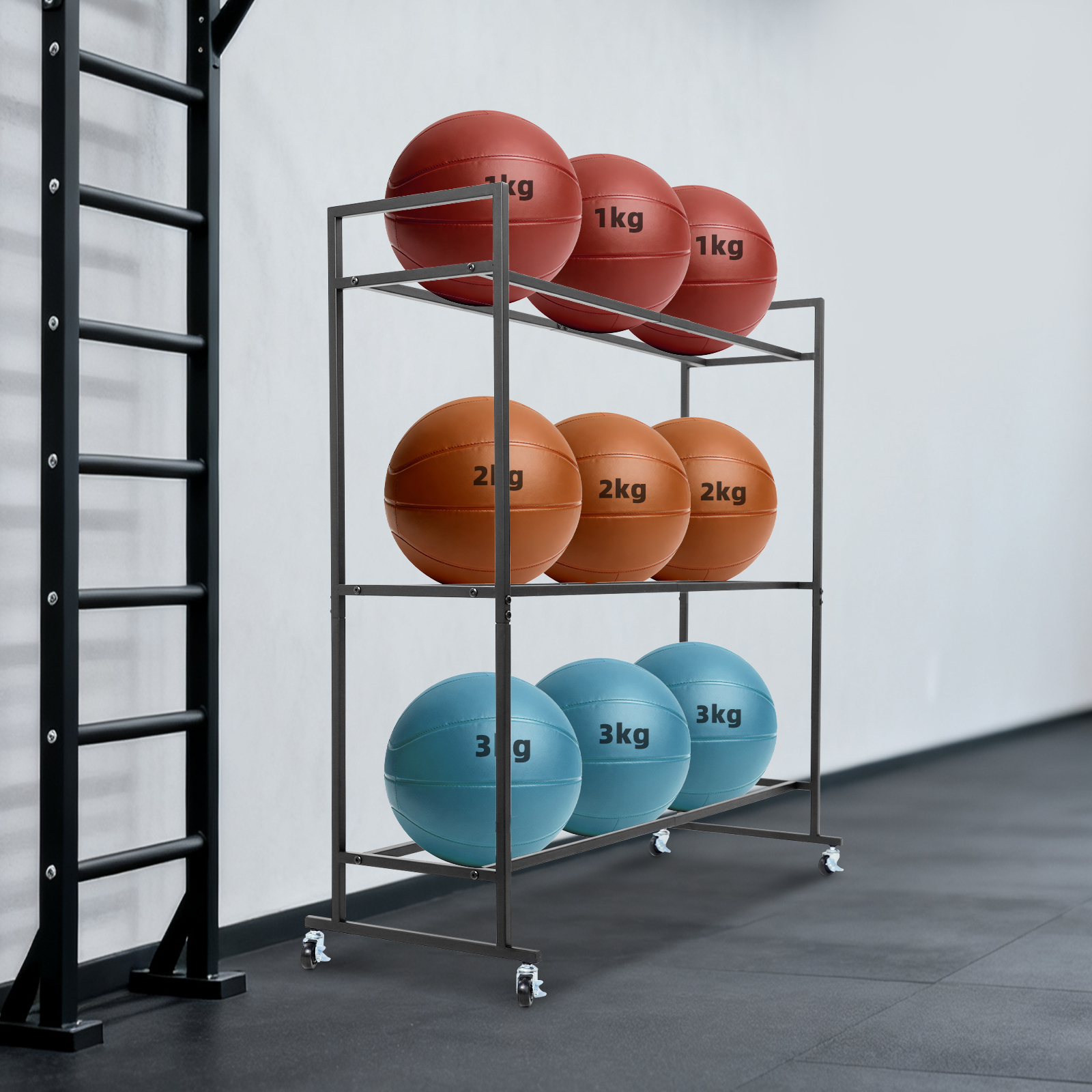 Yoga Ball Holder Storage Stand - Home Gym Studio avaliação e preço