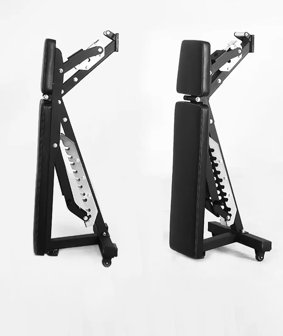 Adjustable Dumbbell Foldable B - Home Gym Dumbbells avaliação e preço